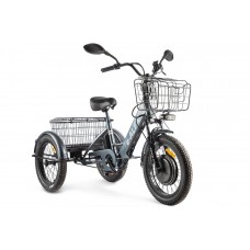 Электровелосипед GREEN CITY e-ALFA Trike (серебристый)