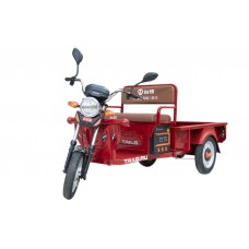 Электротрицикл TaiLG TL650 red