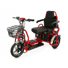 Электротрицикл Elbike Адъютант Double Twix A4