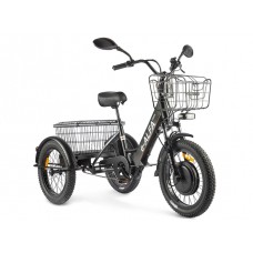 Электровелосипед GREEN CITY e-ALFA Trike (черный)