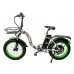 Электрофэтбайк Elbike Taiga 1 Elite (Camouflage)